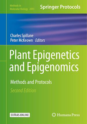 Plant Epigenetics and Epigenomics