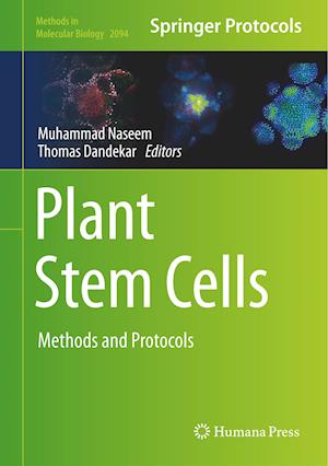 Plant Stem Cells