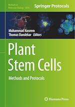 Plant Stem Cells