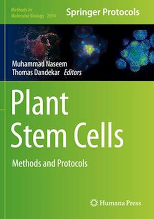 Plant Stem Cells