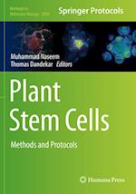 Plant Stem Cells