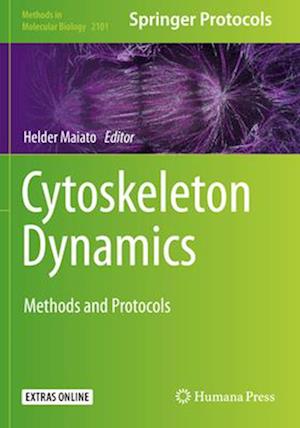 Cytoskeleton Dynamics