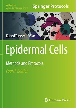 Epidermal Cells