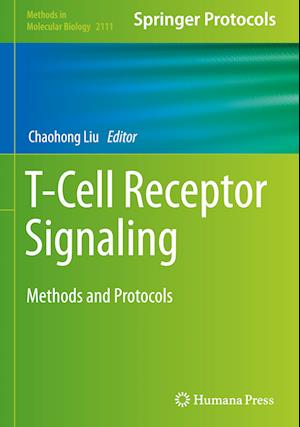 T-Cell Receptor Signaling