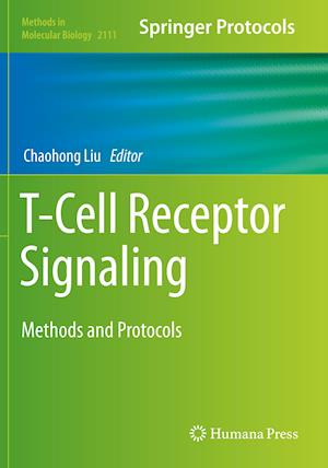 T-Cell Receptor Signaling