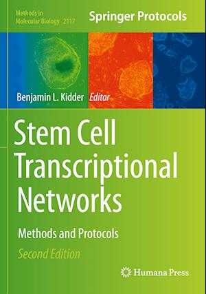 Stem Cell Transcriptional Networks