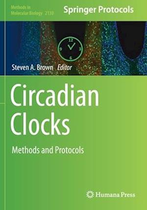 Circadian Clocks