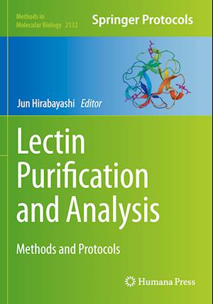 Lectin Purification and Analysis