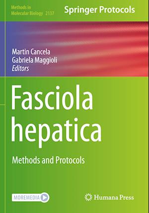 Fasciola hepatica