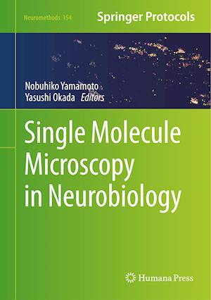 Single Molecule Microscopy in Neurobiology