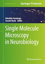 Single Molecule Microscopy in Neurobiology