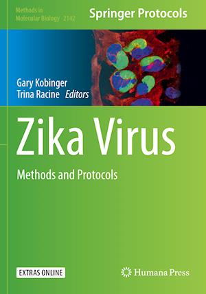 Zika Virus