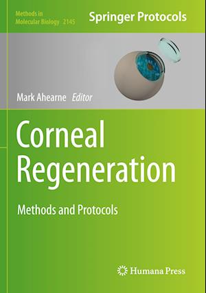 Corneal Regeneration