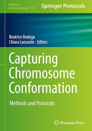 Capturing Chromosome Conformation : Methods and Protocols