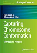 Capturing Chromosome Conformation : Methods and Protocols 