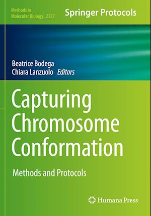 Capturing Chromosome Conformation : Methods and Protocols