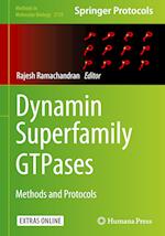 Dynamin Superfamily GTPases