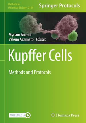 Kupffer Cells