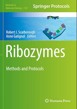 Ribozymes