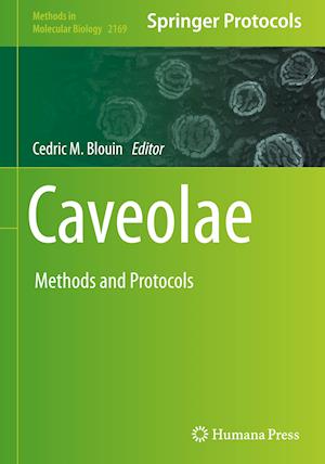 Caveolae