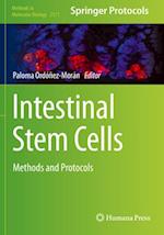 Intestinal Stem Cells