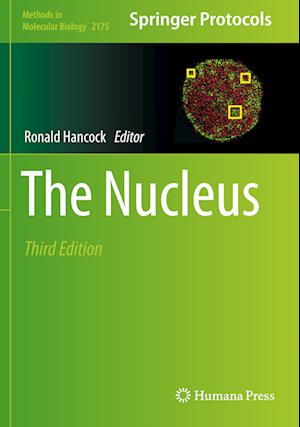 The Nucleus