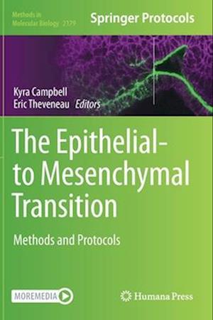 The Epithelial-to Mesenchymal Transition