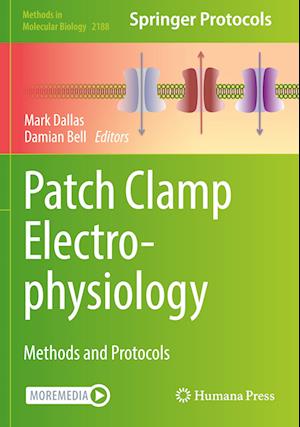 Patch Clamp Electrophysiology