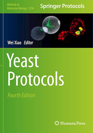 Yeast Protocols