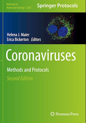 Coronaviruses