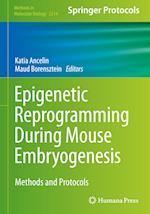 Epigenetic Reprogramming During Mouse Embryogenesis