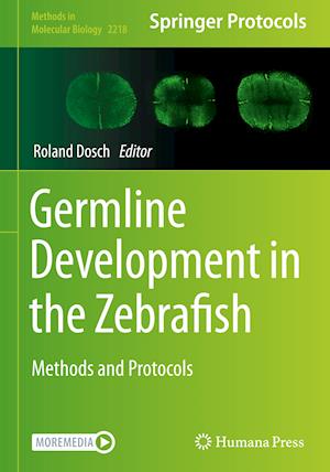 Germline Development in the Zebrafish