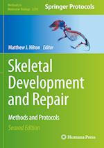 Skeletal Development and Repair