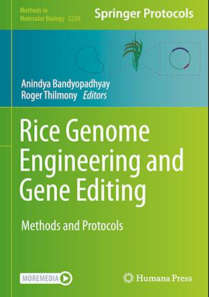 Rice Genome Engineering and Gene Editing