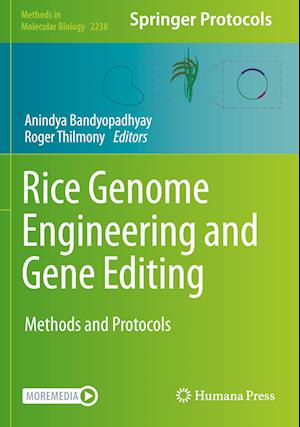 Rice Genome Engineering and Gene Editing