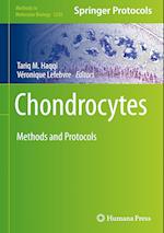 Chondrocytes