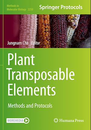 Plant Transposable Elements