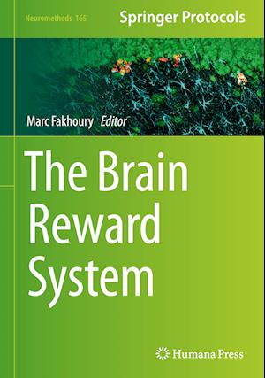 The Brain Reward System