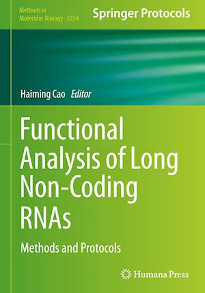 Functional Analysis of Long Non-Coding RNAs