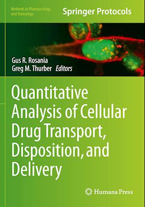 Quantitative Analysis of Cellular Drug Transport, Disposition, and Delivery