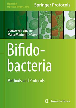 Bifidobacteria