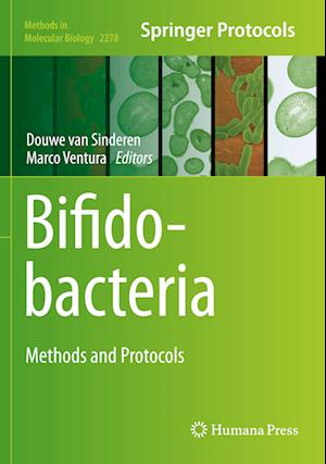 Bifidobacteria