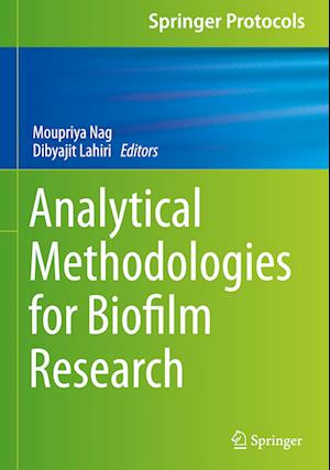Analytical Methodologies for Biofilm Research