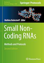 Small Non-Coding RNAs