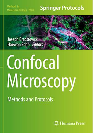 Confocal Microscopy