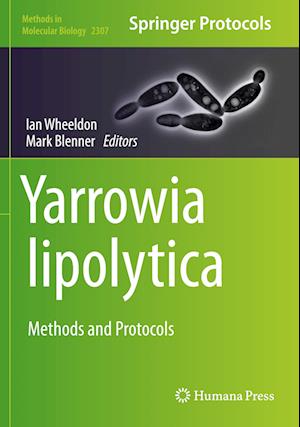 Yarrowia lipolytica