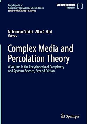 Complex Media and Percolation Theory