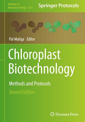 Chloroplast Biotechnology