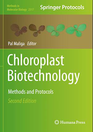 Chloroplast Biotechnology