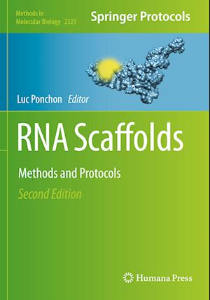 RNA Scaffolds